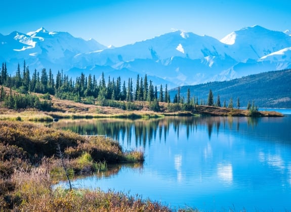 Denali National Park
