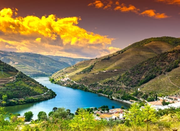 Travel in River Douro region in Portugal among vineyards and olive groves. Viticulture in the Portuguese villages at sunrise