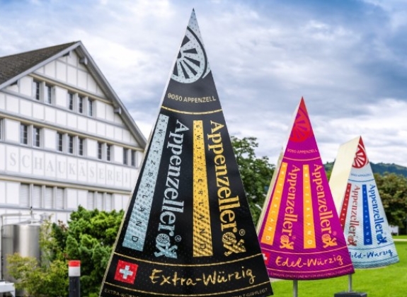 Mountains, Cheese & Chocolate Adventure from Zurich by Coach