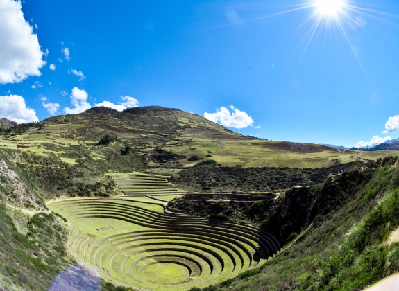 sacred_canyon_moray-2_web