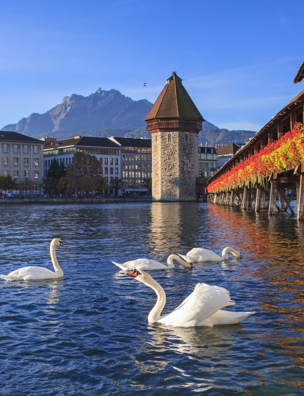 Lucerne-Chapel-Bridge Lucerne chapel bridge