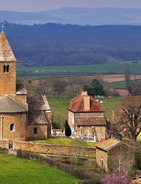 dijon dijon