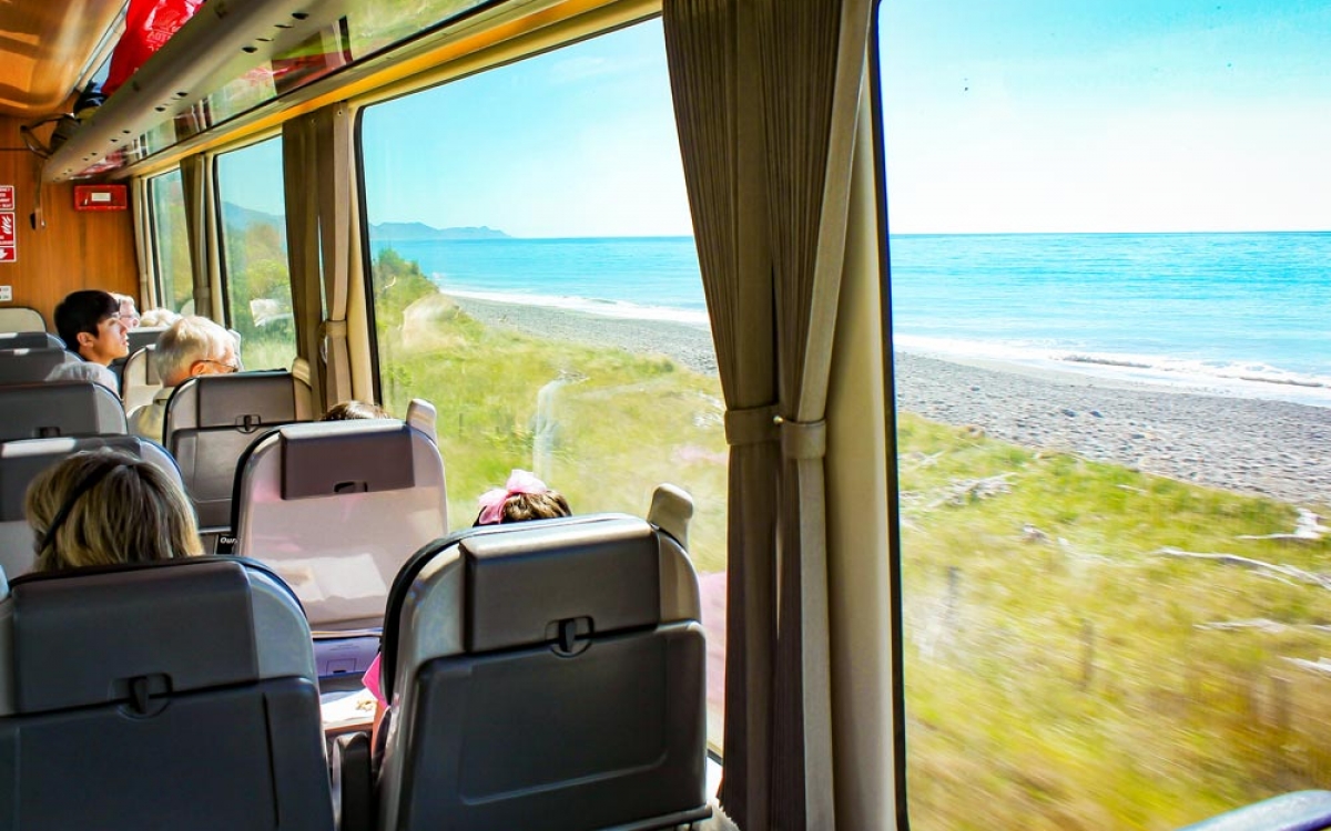 Coastal-Pacific-in-the-cabin-near-Clarence