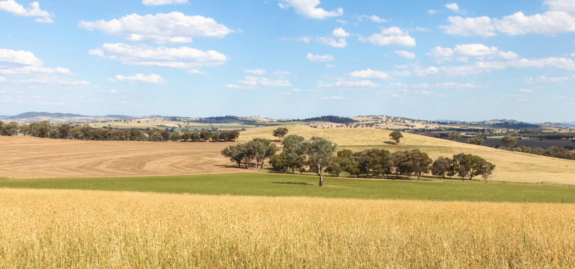 Dundee-New-South-Wales-Australia