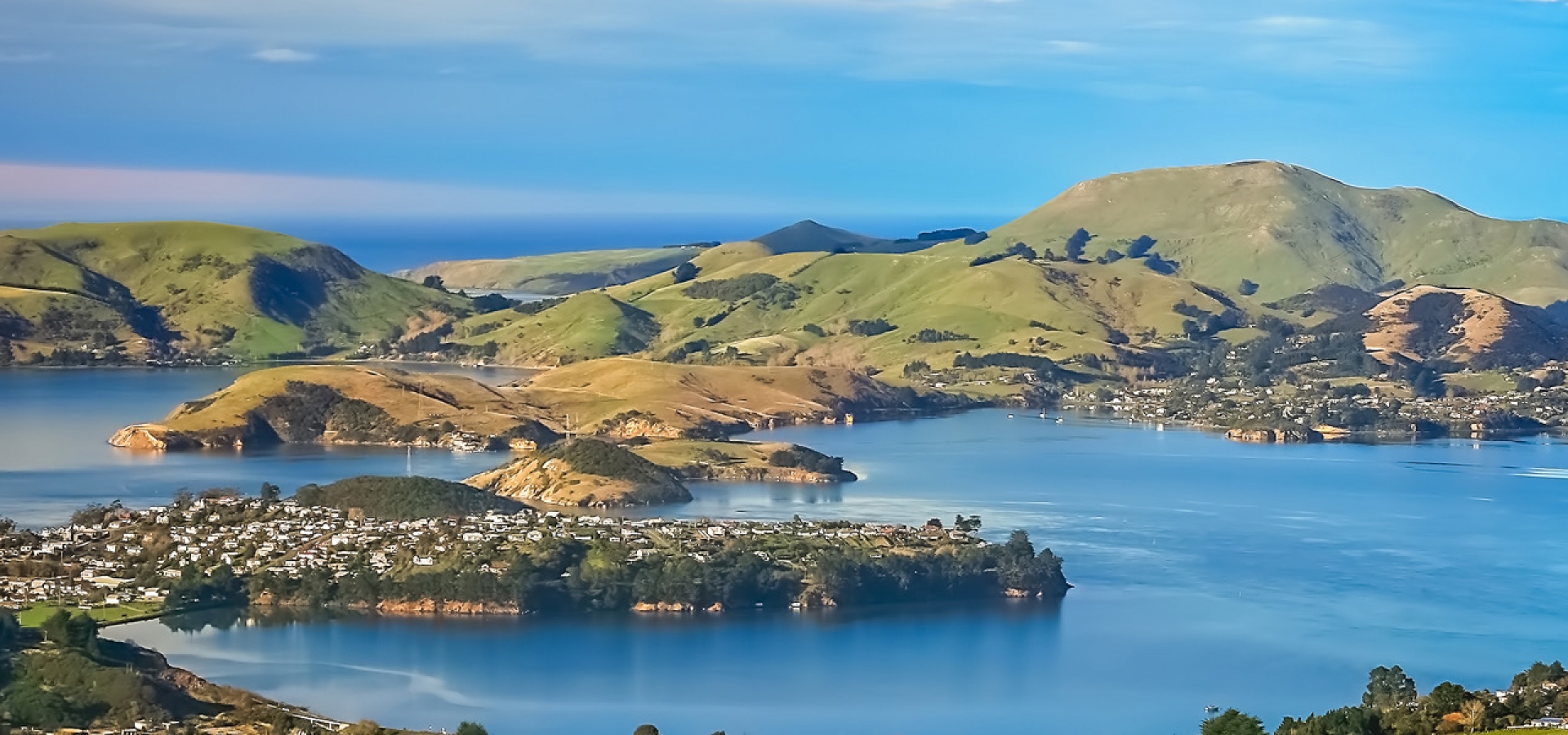 Dunedin-1800x600