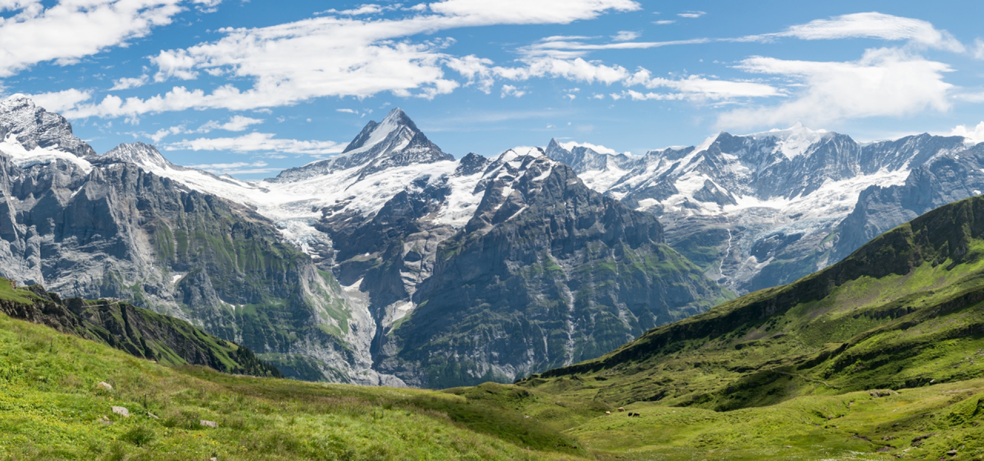 Grindelwald-Switzerland