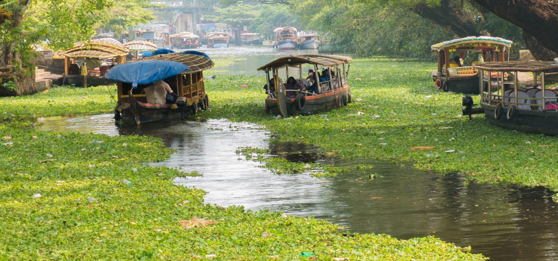 Houseboats-in-Alleppey-India-1800x600