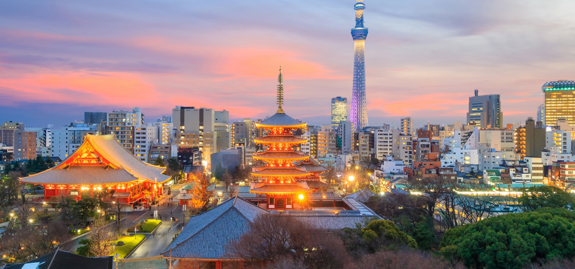 Discover Tokyo’s skyline, Shibuya Crossing, Meiji Shrine, and Skytree on a Railbookers Japan rail vacation with curated hotels and smooth train travel.