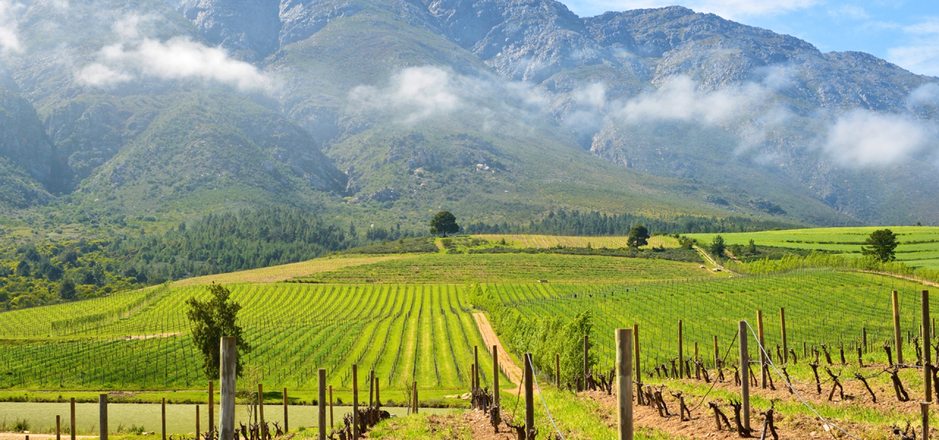 Tulbagh-South-Africa-Vineyards-Landscape-1800x600 Tulbagh-South-Africa-Vineyards-Landscape-1800x600