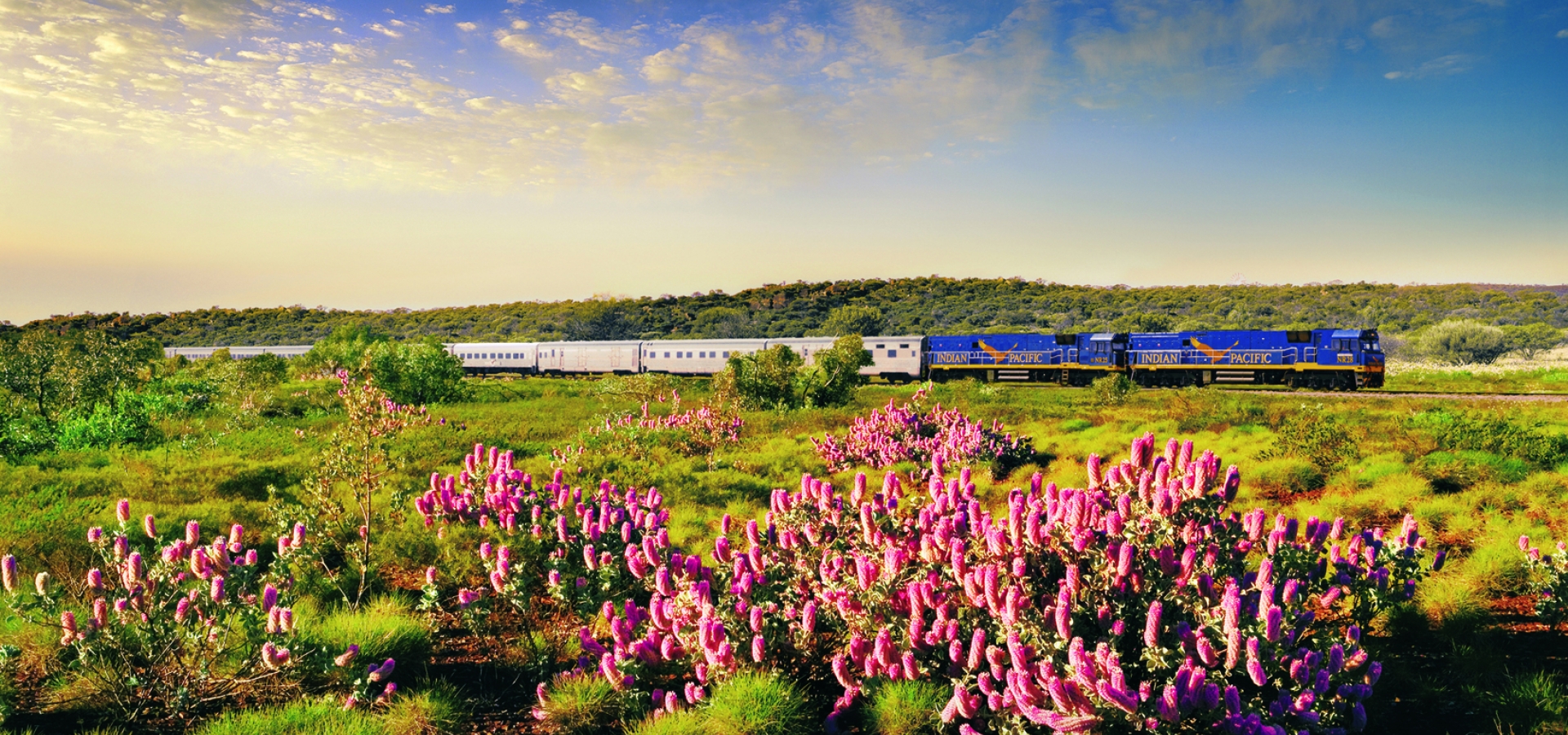 A train travels through wide open countryside