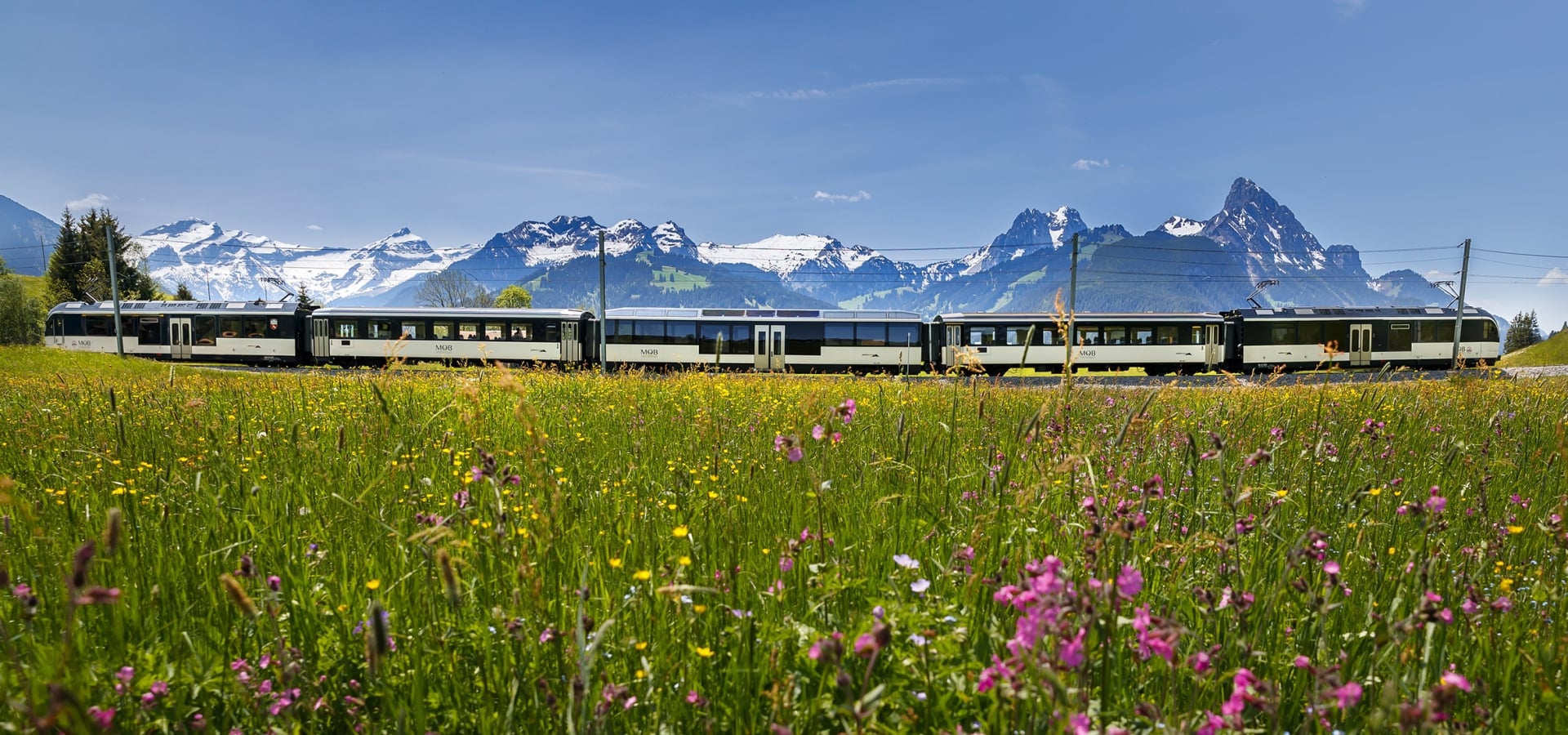 A meadow with wild flowers with train travelling past in background