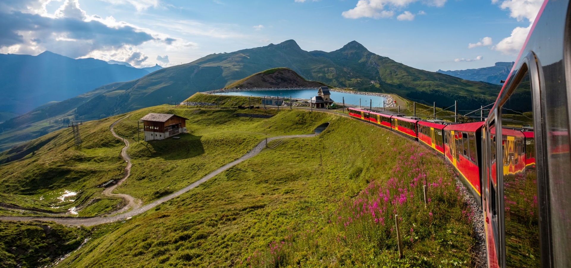 A train travels down a mountainside in summer