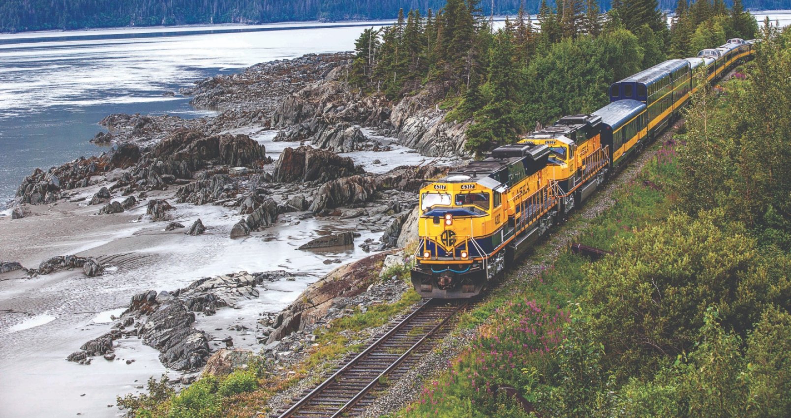 alaska railroad train next to a lake