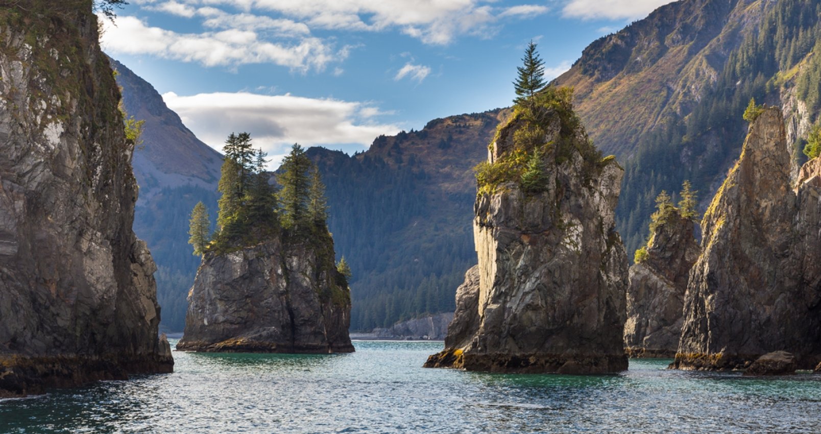 Kenai Fjords National Park