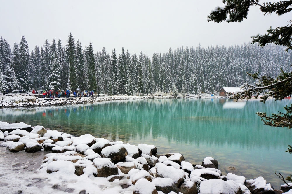 Lake Louise Train Journey Railbookers