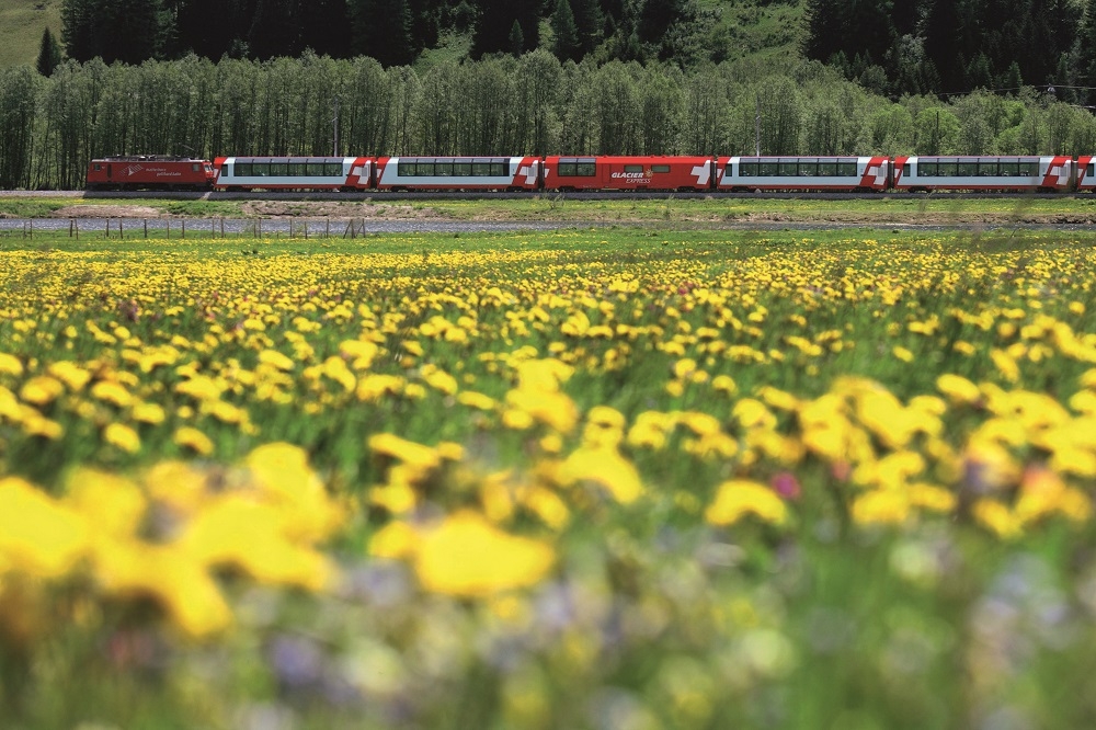 Glacier Express Through Flower Meadow