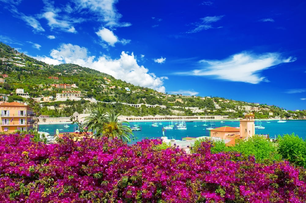 french reviera, view of luxury resort and bay of Villefranche-sur-Mer near Nice and Monaco. seafront landscape with azalea flowers